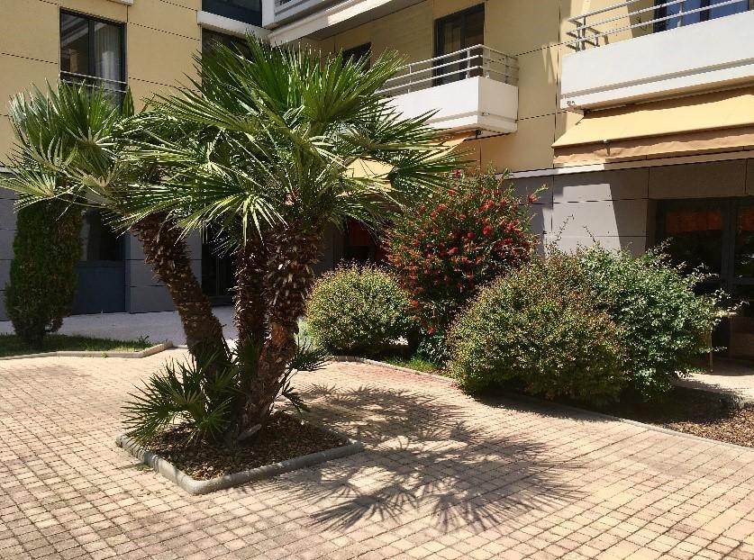 Villa Du Beal Cagnes-sur-Mer Ngoại thất bức ảnh